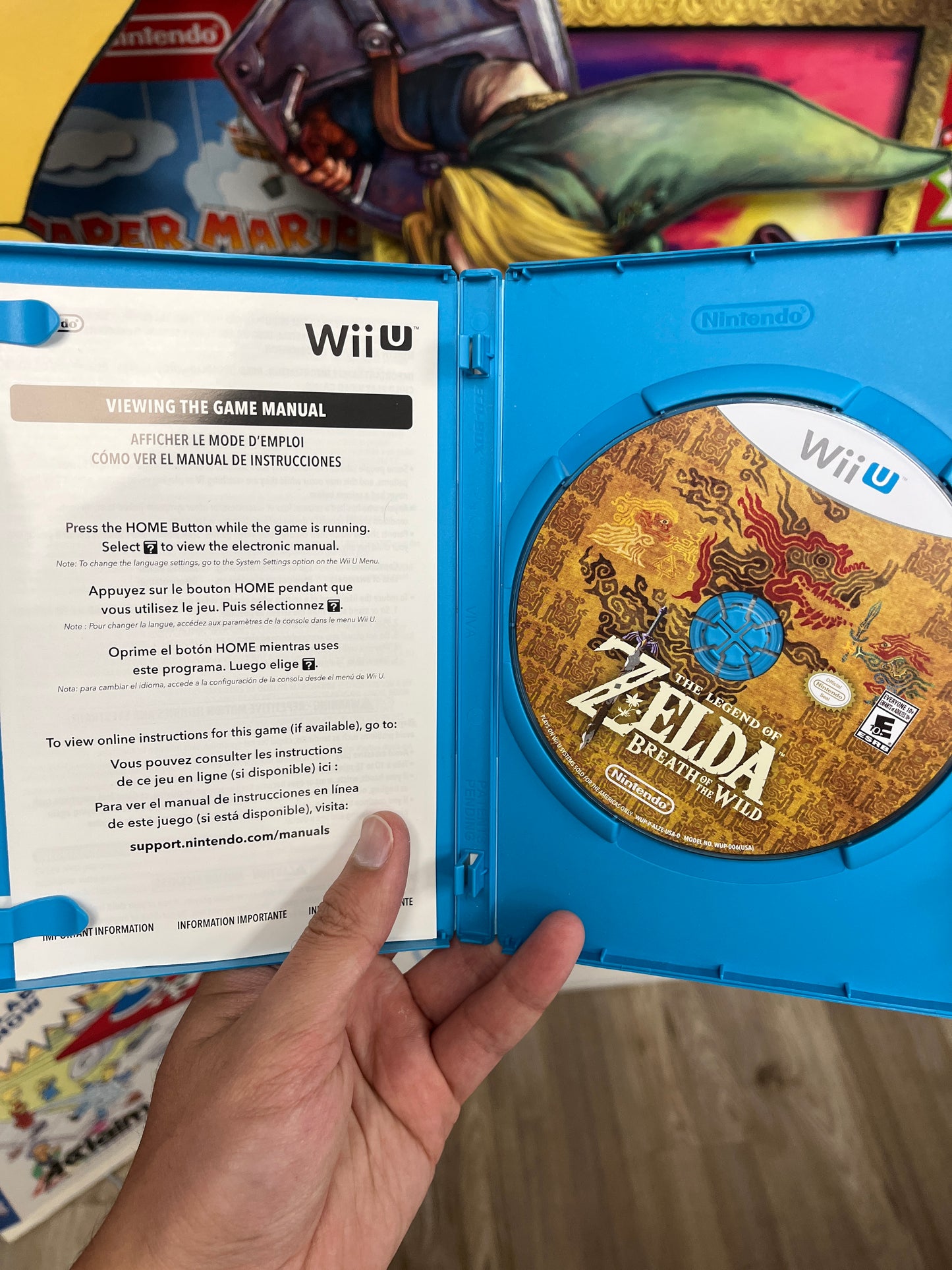 Zelda Breath of the Wild Wii U