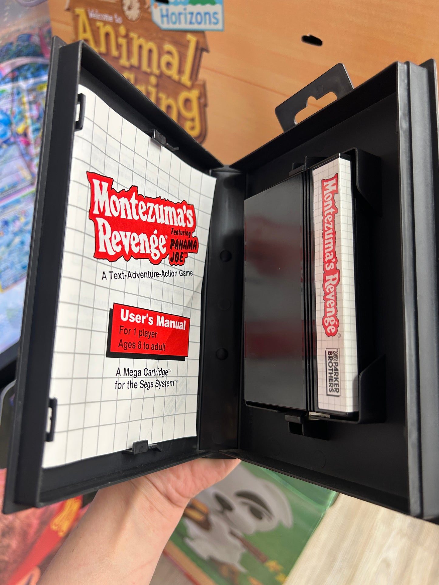 Montezuma's REvenge (Sega Master System)