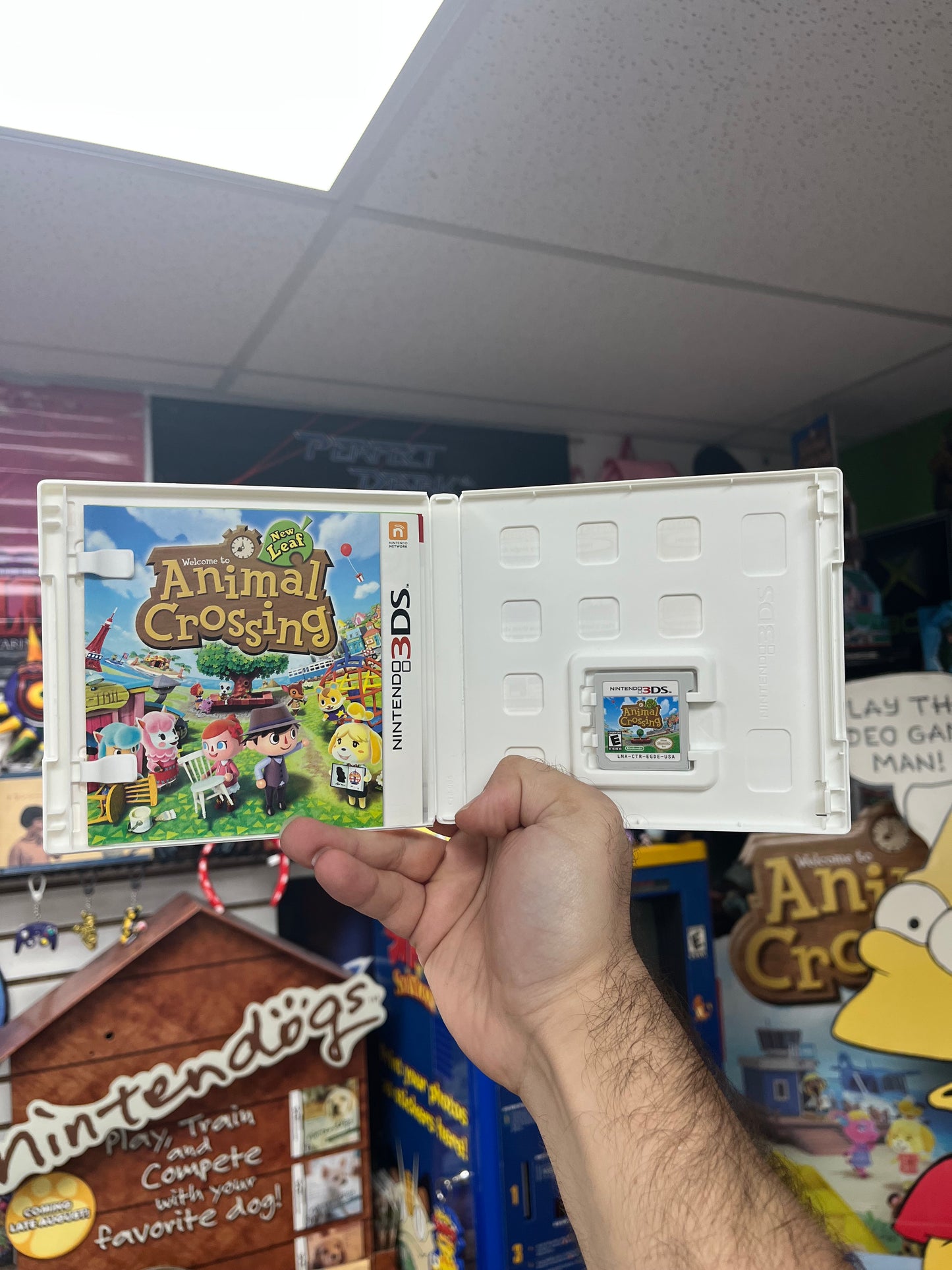 Animal Crossing: New Leaf - 3DS CiB