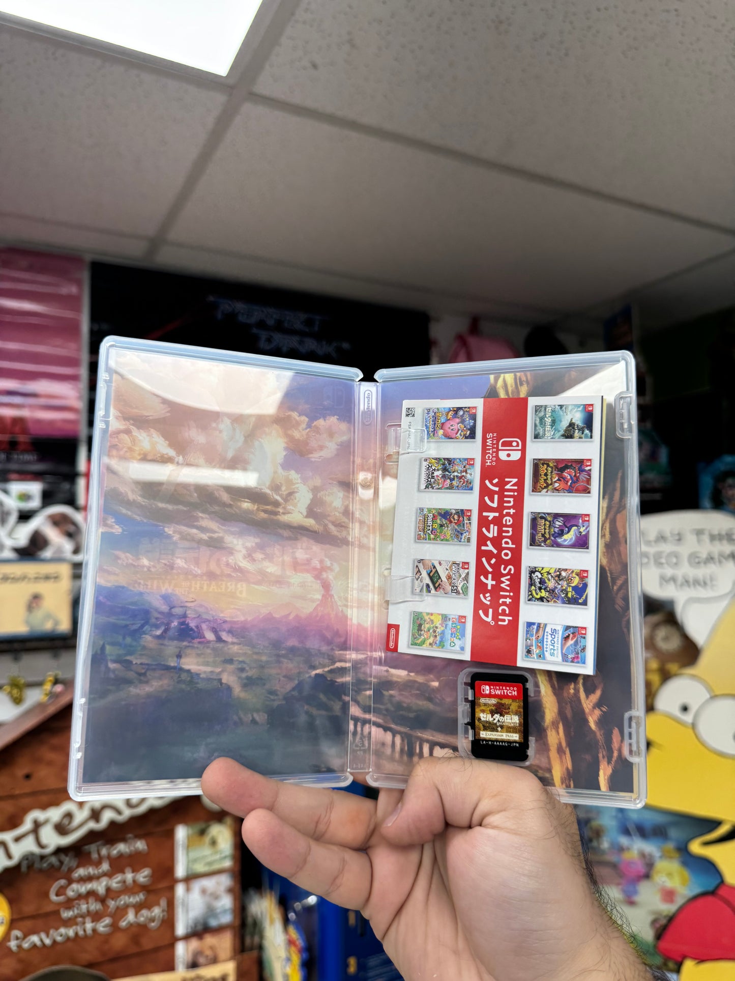 Zelda: Breath of the Wild + Expansion Pack - JP Switch CiB