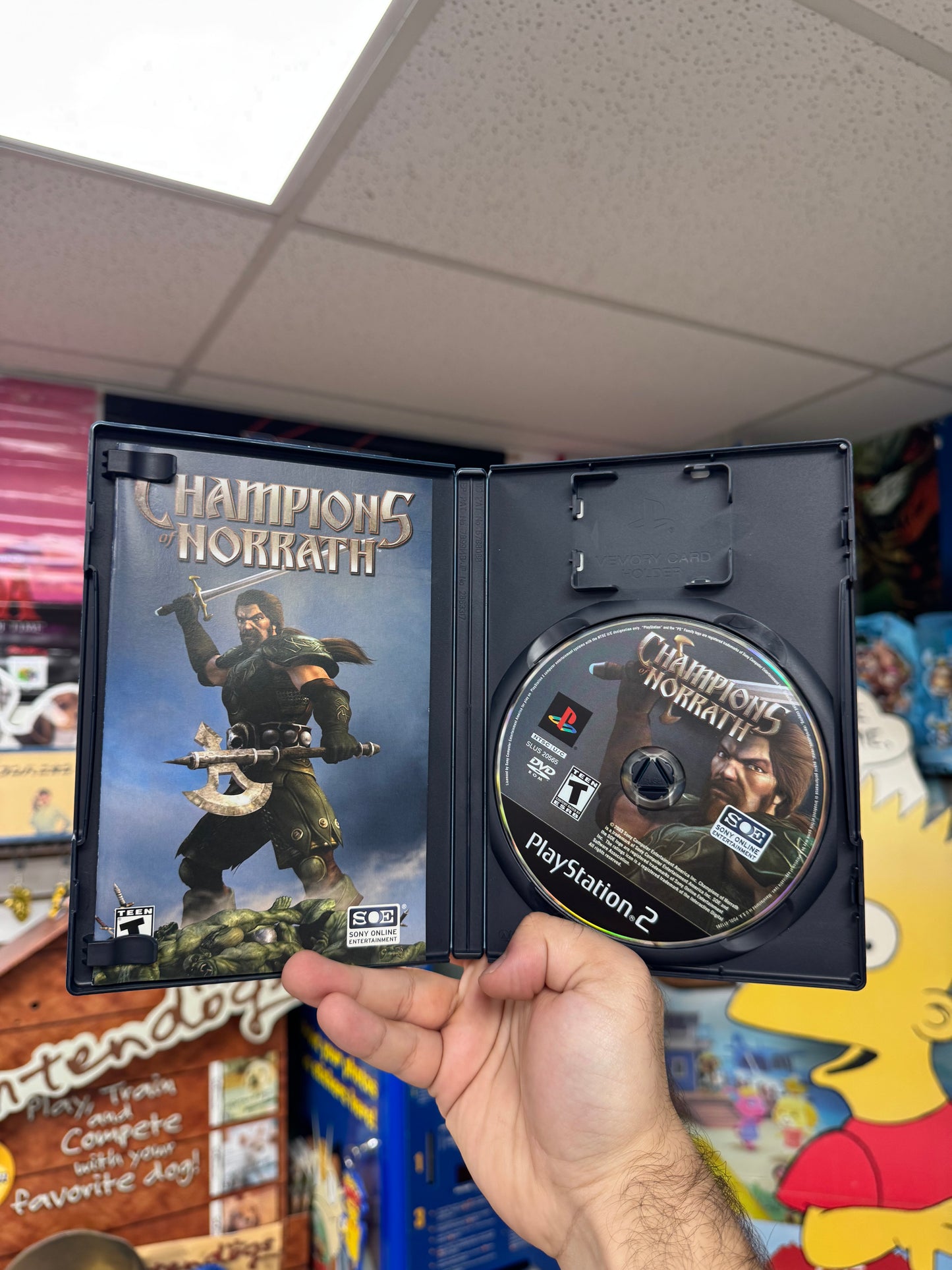 Champions of Norrath - PS2 CiB
