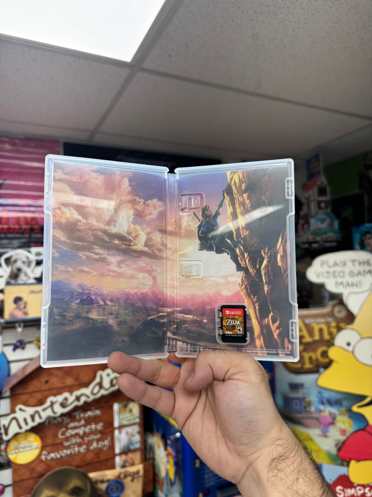 Zelda: Breath of the Wild - Switch CiB