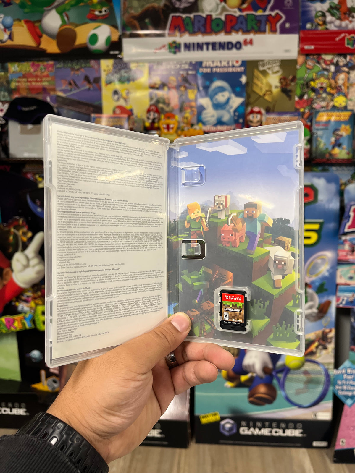 Minecraft - Switch CIB