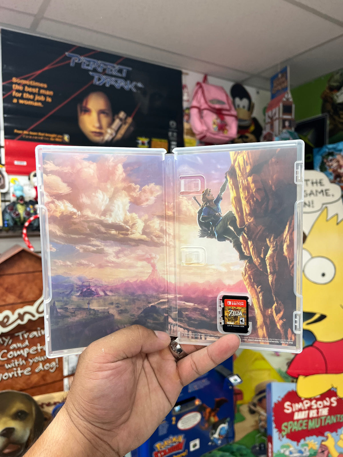 Zelda: Breath of the Wild - Switch CiB