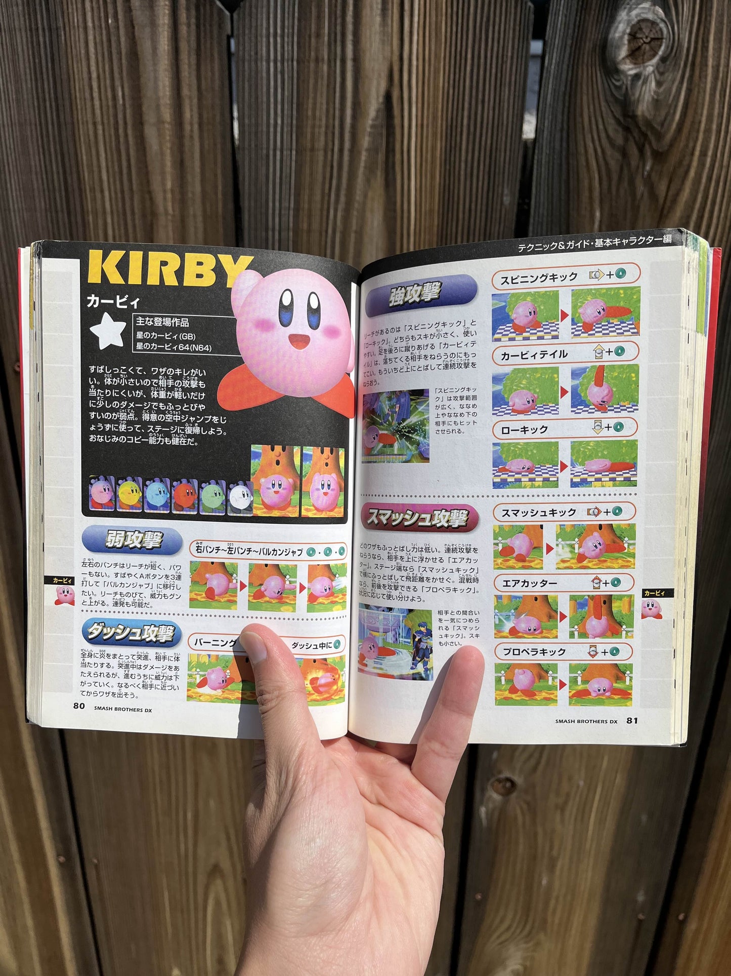Super Smash Bros. Melee Japanese Guide Book