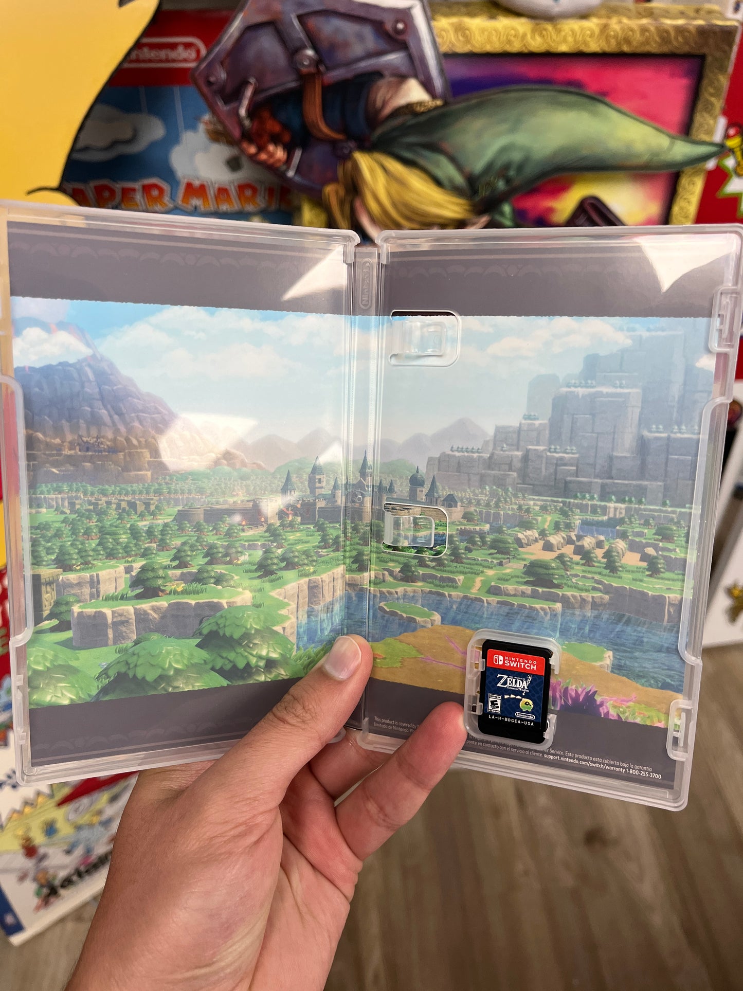 Zelda: Echoes of Wisdom Switch Complete