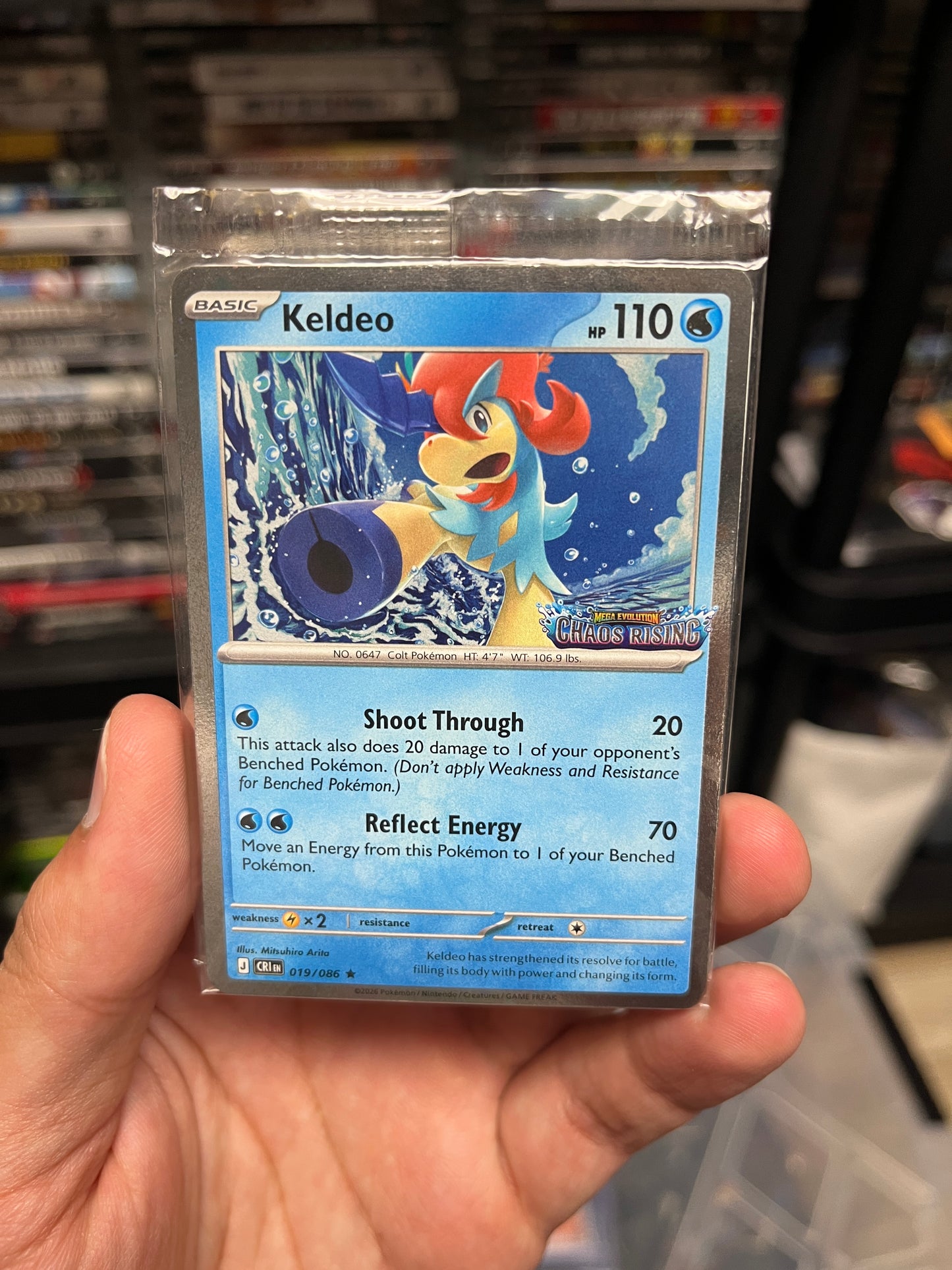 Keldeo Stamped Promo Sealed