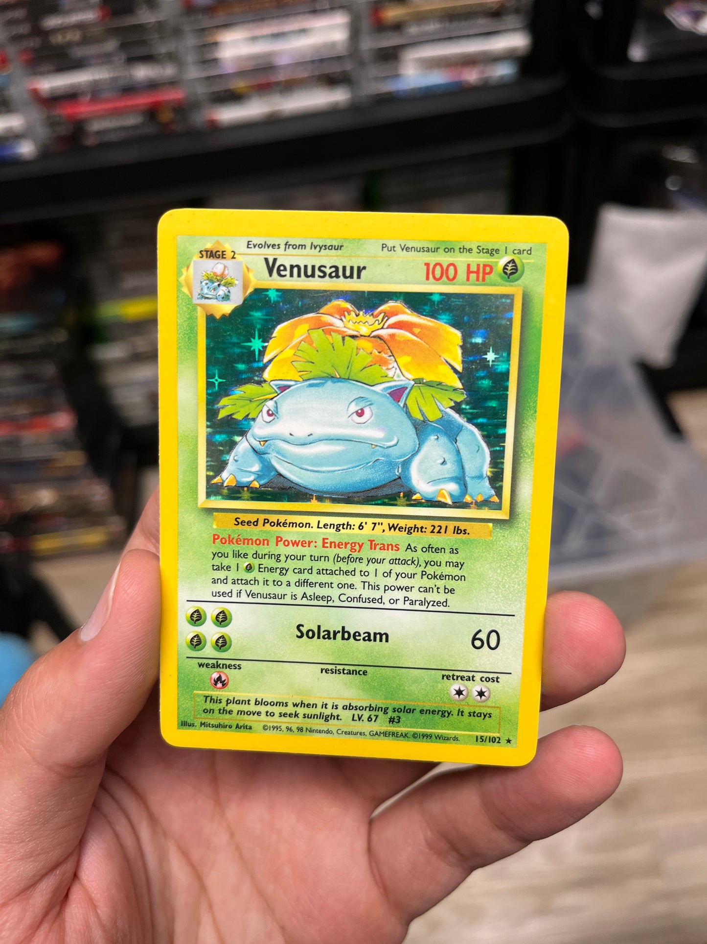 Venusaur Base