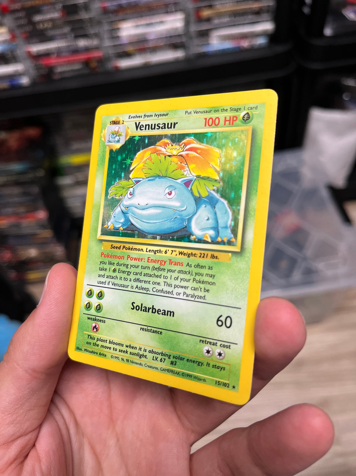 Venusaur Base