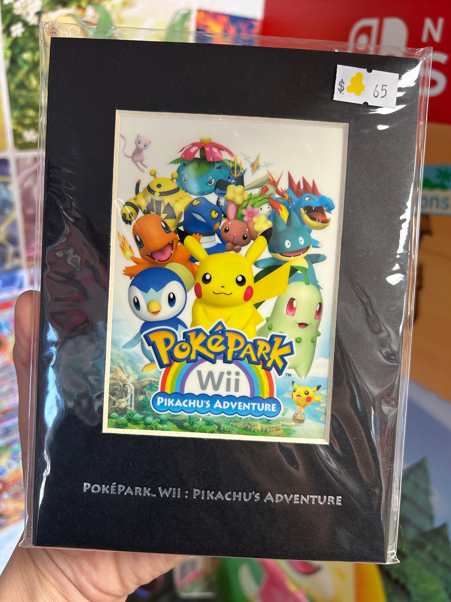 Pokepark Wii Pikachu's Adventure Promotional Giveaway