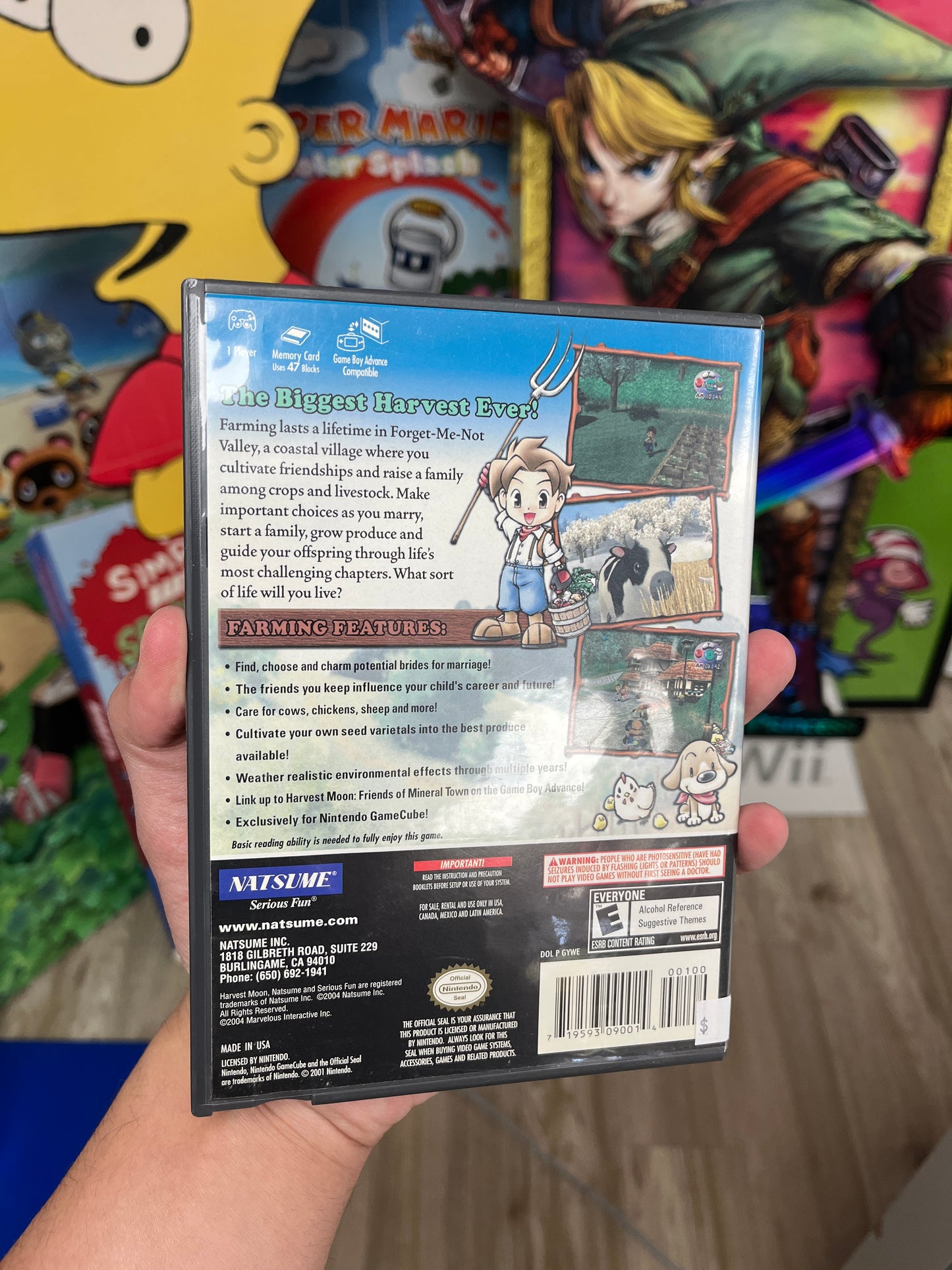 Harvest Moon: A Wonderful Life (GameCube)