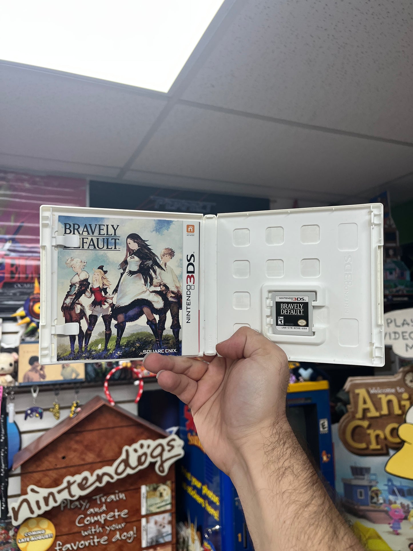 Bravely Default - 3DS CiB