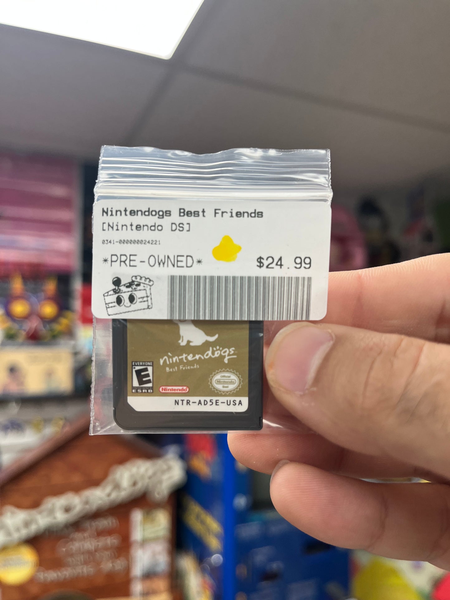 NIntendogs Best Friends - DS Loose