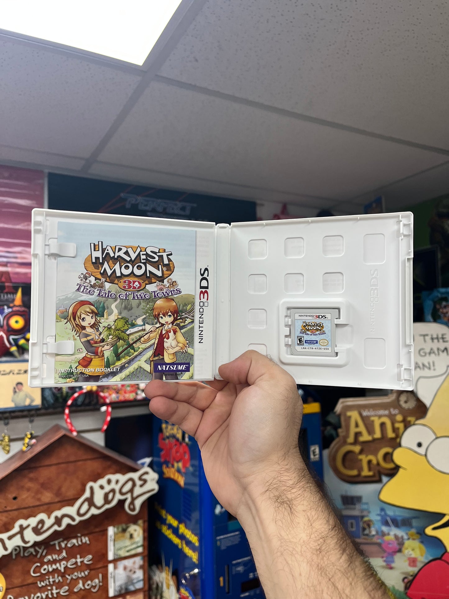 Harvest Moon: The Tale of Two Towns - 3DS CiB