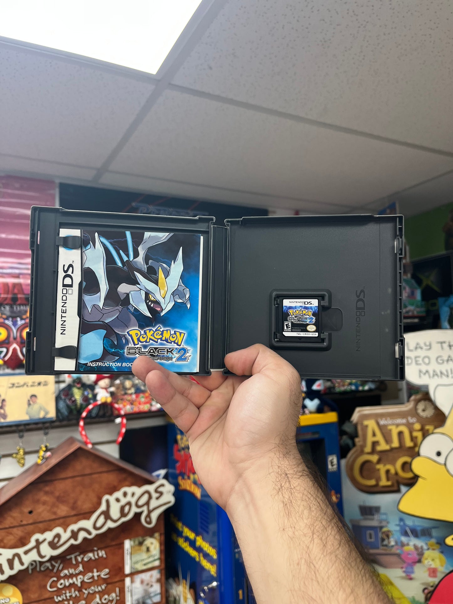 Pokemon Black 2 - DS CiB