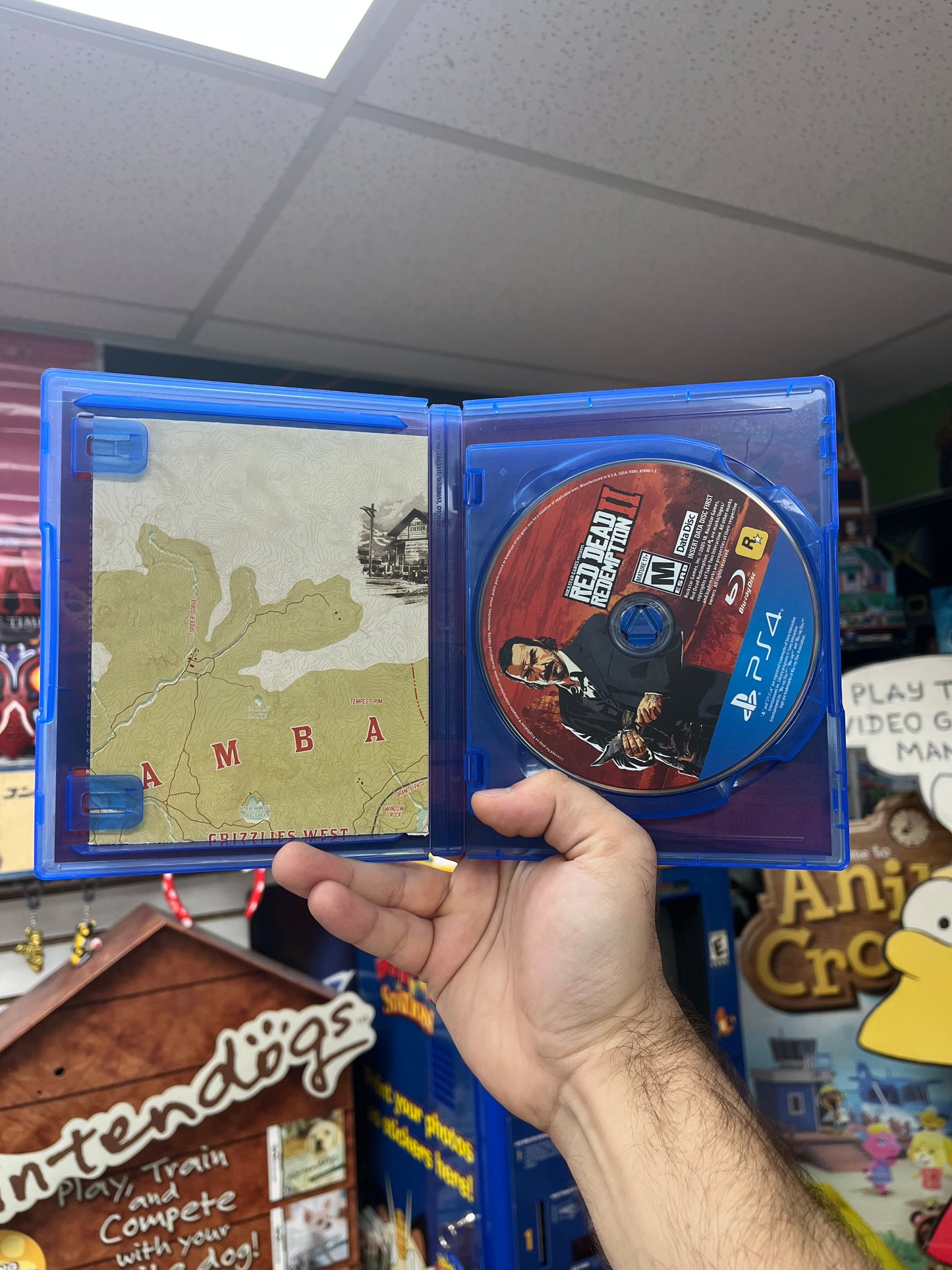 Red Dead Redemption II - PS4 CiB