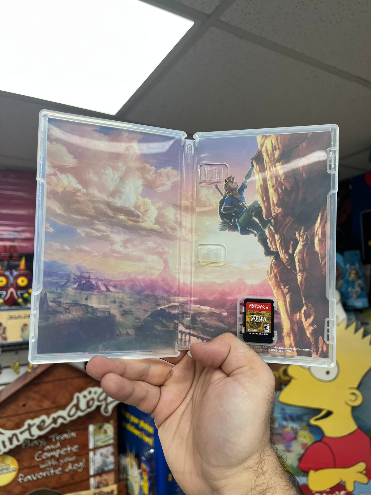 Zelda: Breath of the Wild - Switch CiB