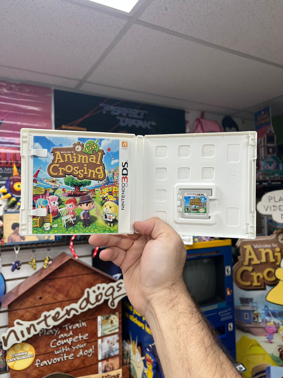 Animal Crossing: New Leaf - 3DS CiB