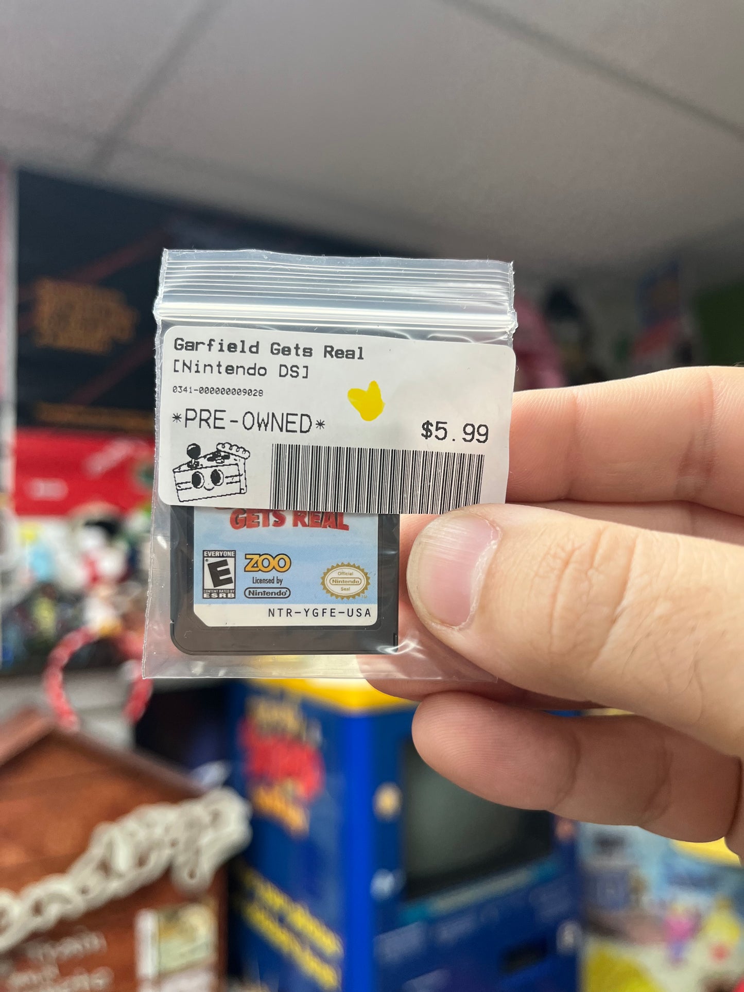 Garfield Gets Real - DS Loose