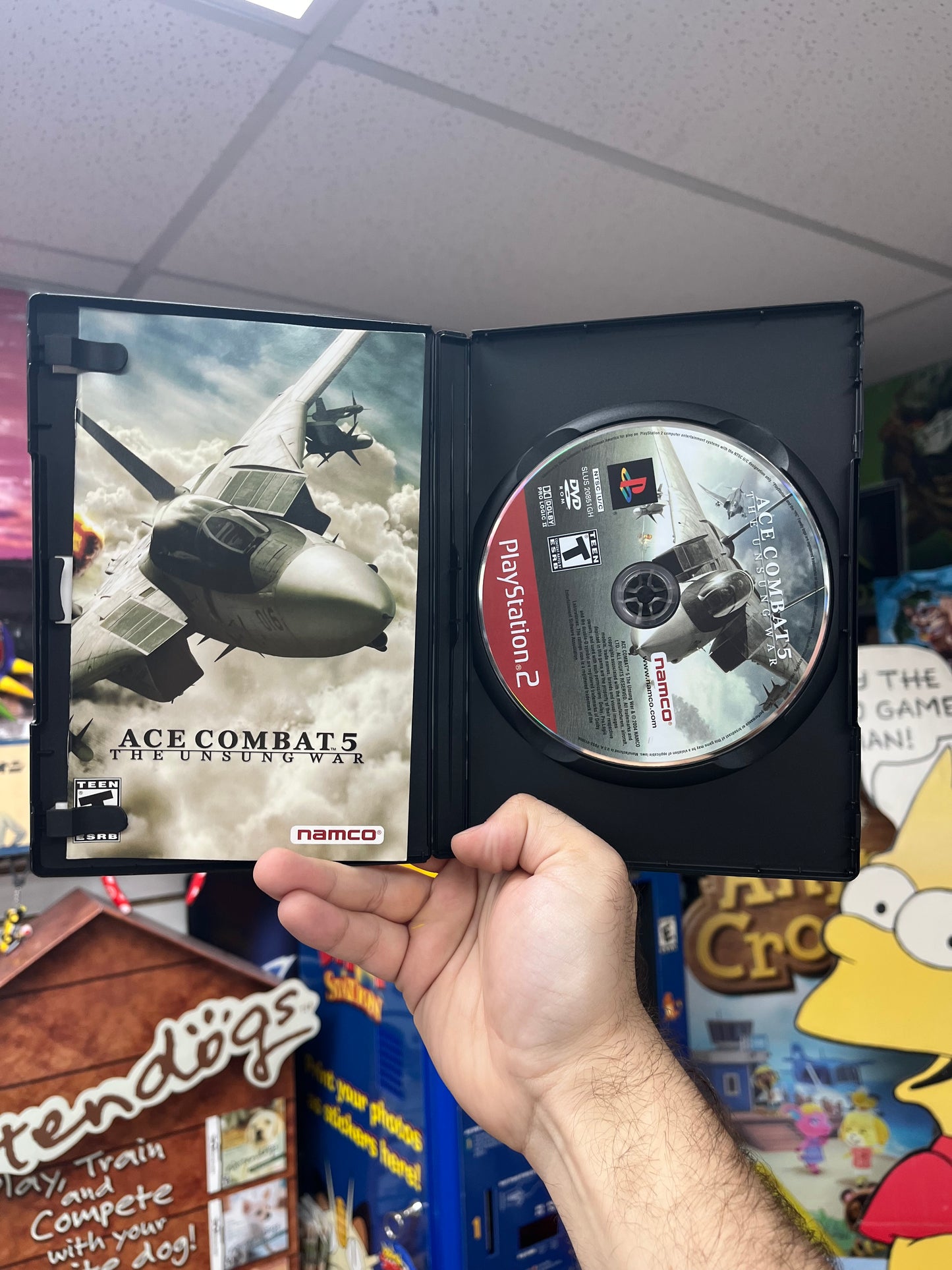 Ace Combat 5 The Unsung War - PS2 CiB