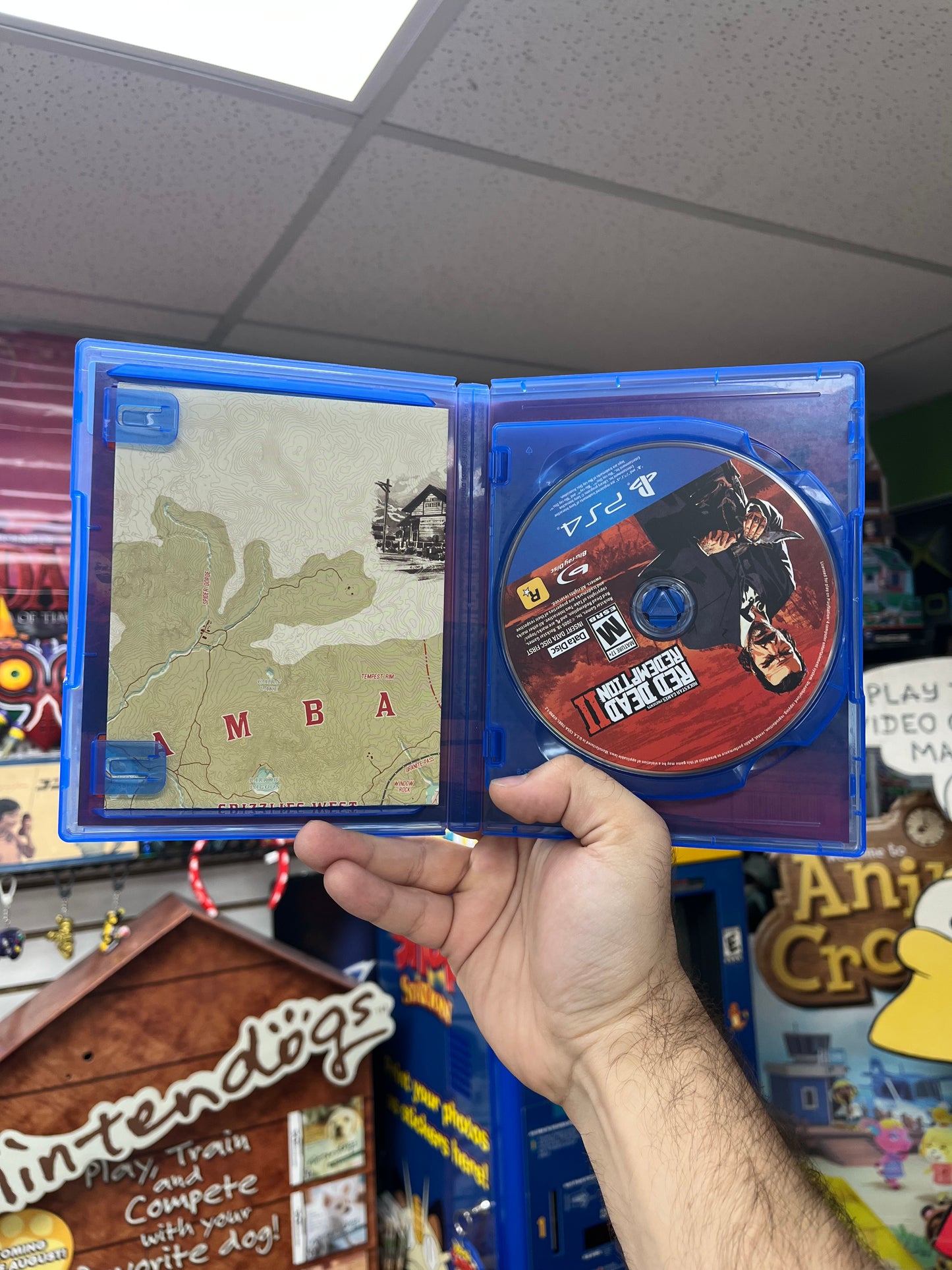 Red Dead Redemption II - PS4 CiB