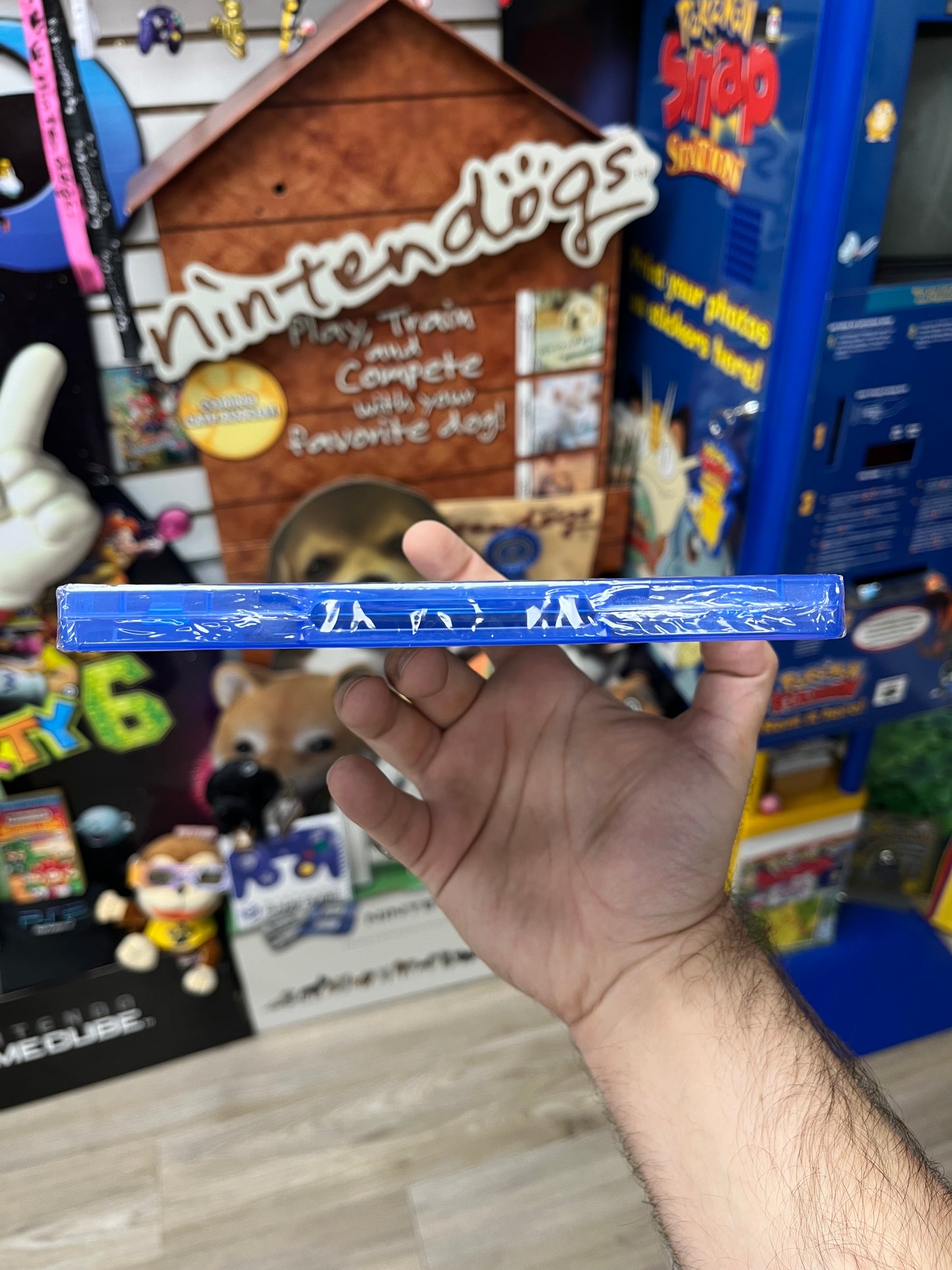 Pineview Drive - PS4 Sealed