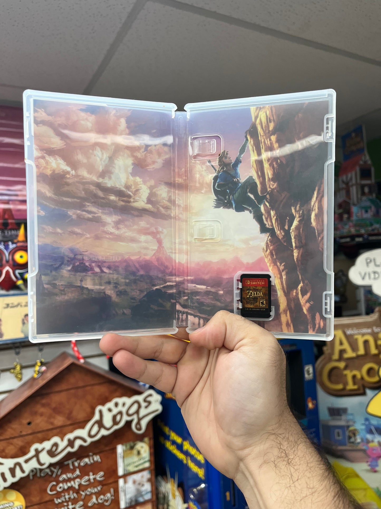 Zelda Breath of the Wild - Switch CiB