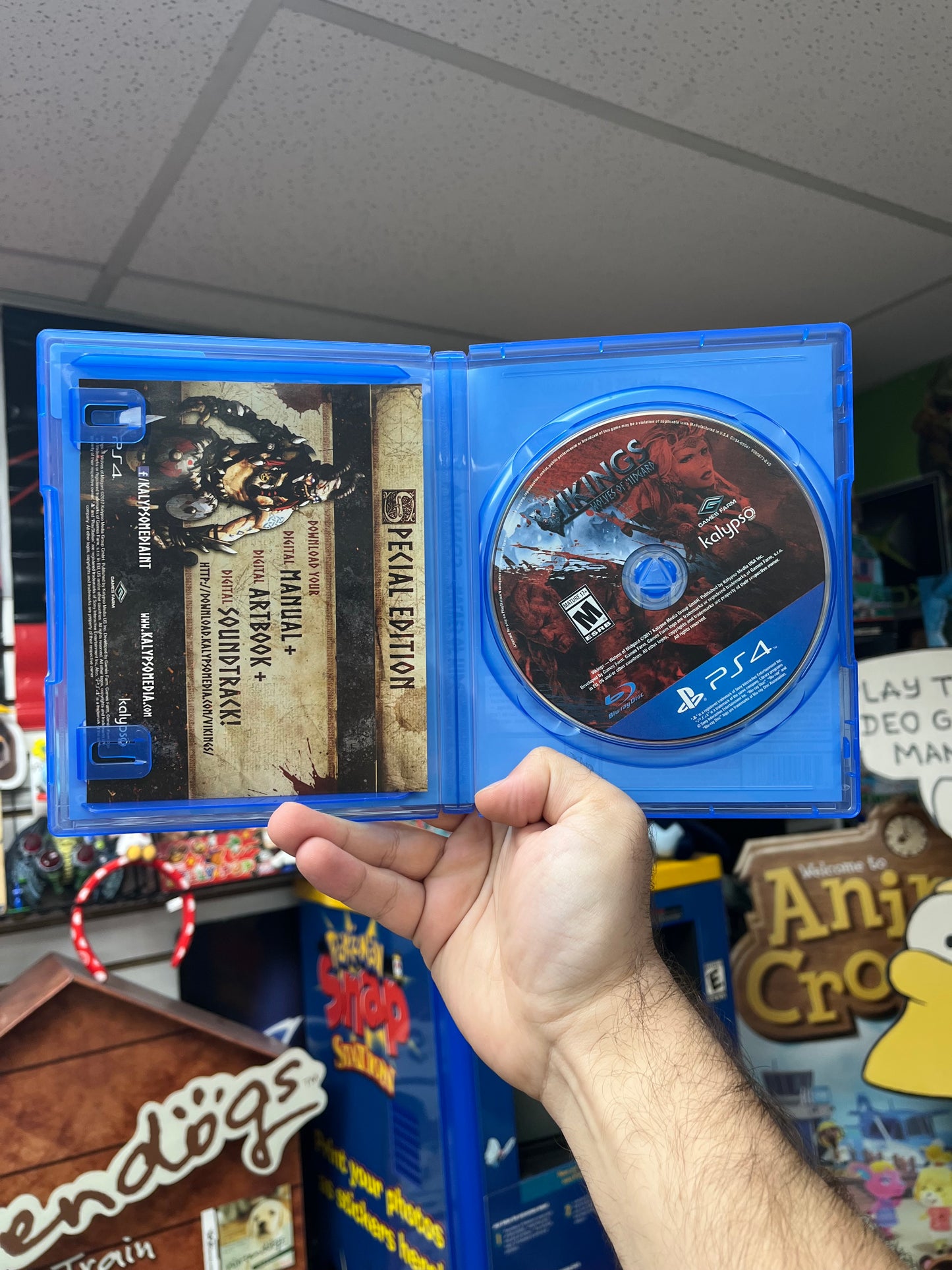 Vikings: Wolves of Midgard - PS4 CiB