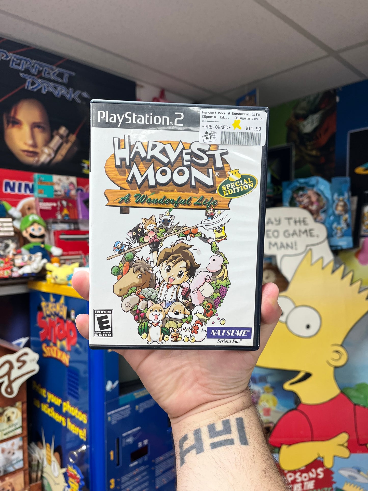 Harvest Moon A Wonderful Life - PS2 Boxed