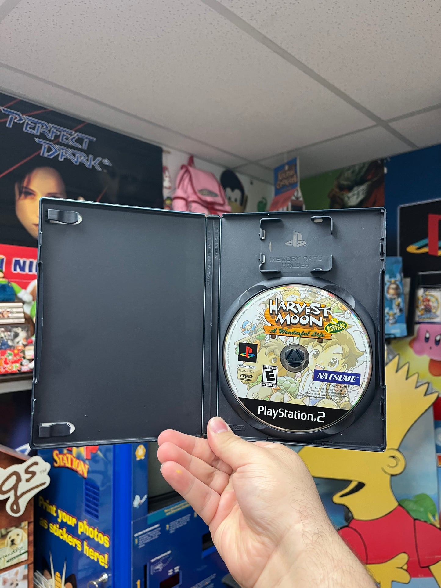Harvest Moon A Wonderful Life - PS2 Boxed