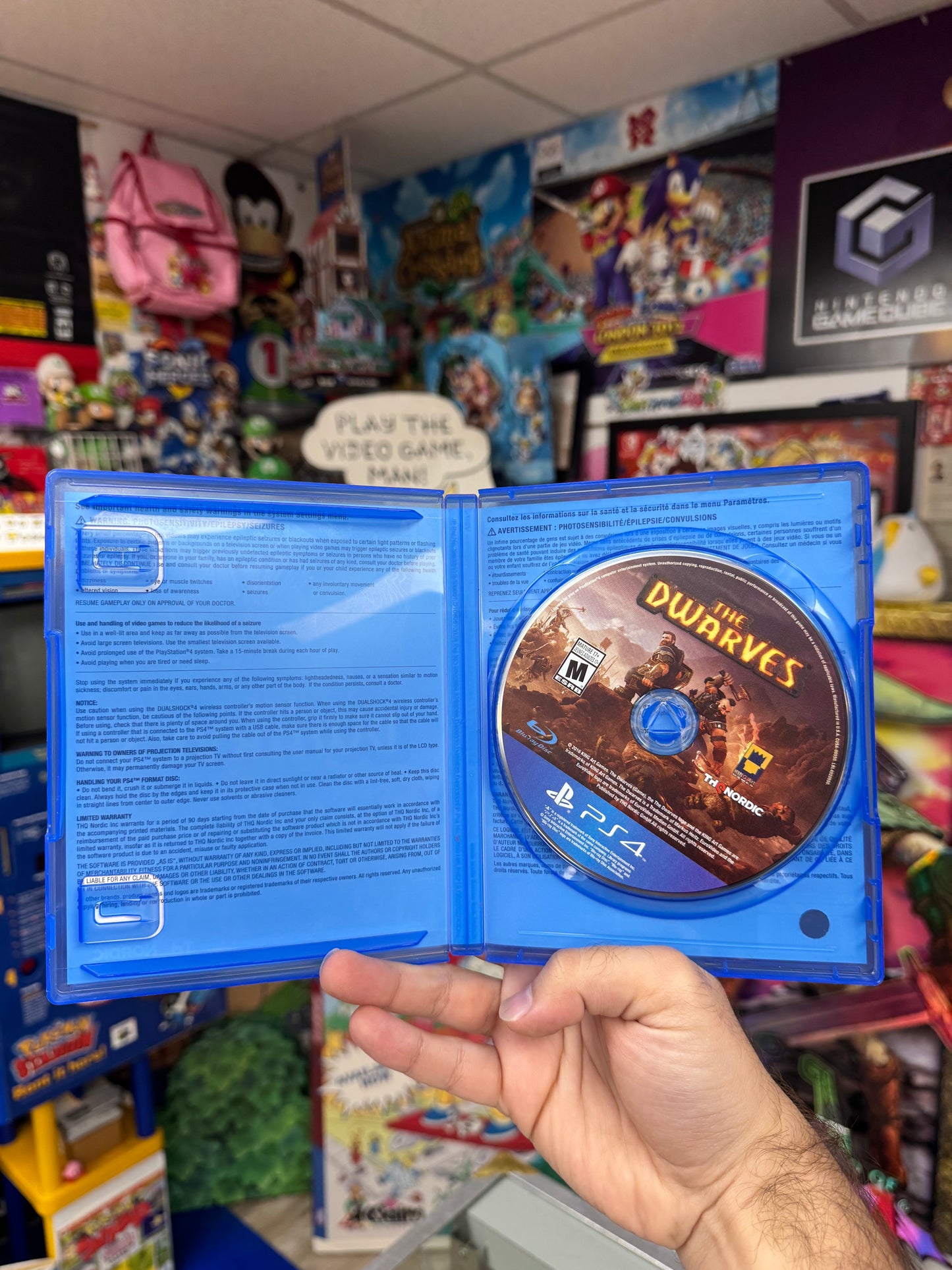 The Dwarves PS4