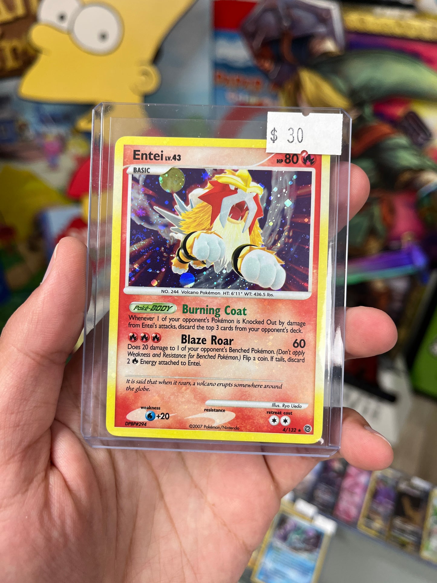 Secret Wonders Entei Holo
