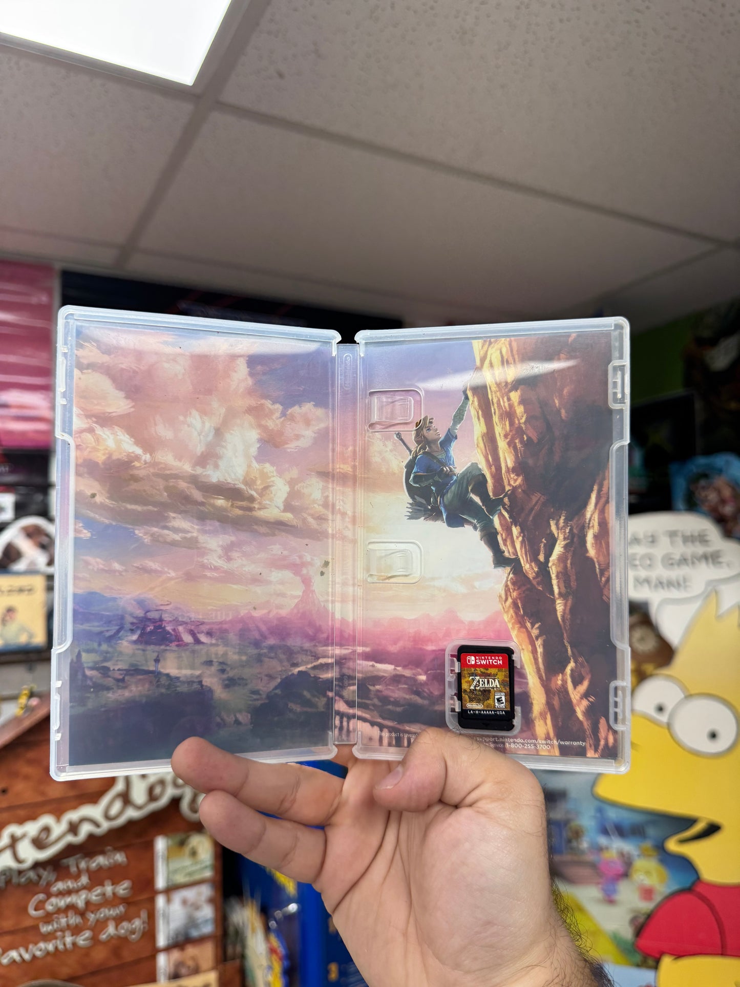 Zelda: Breath of the Wild - Switch CiB