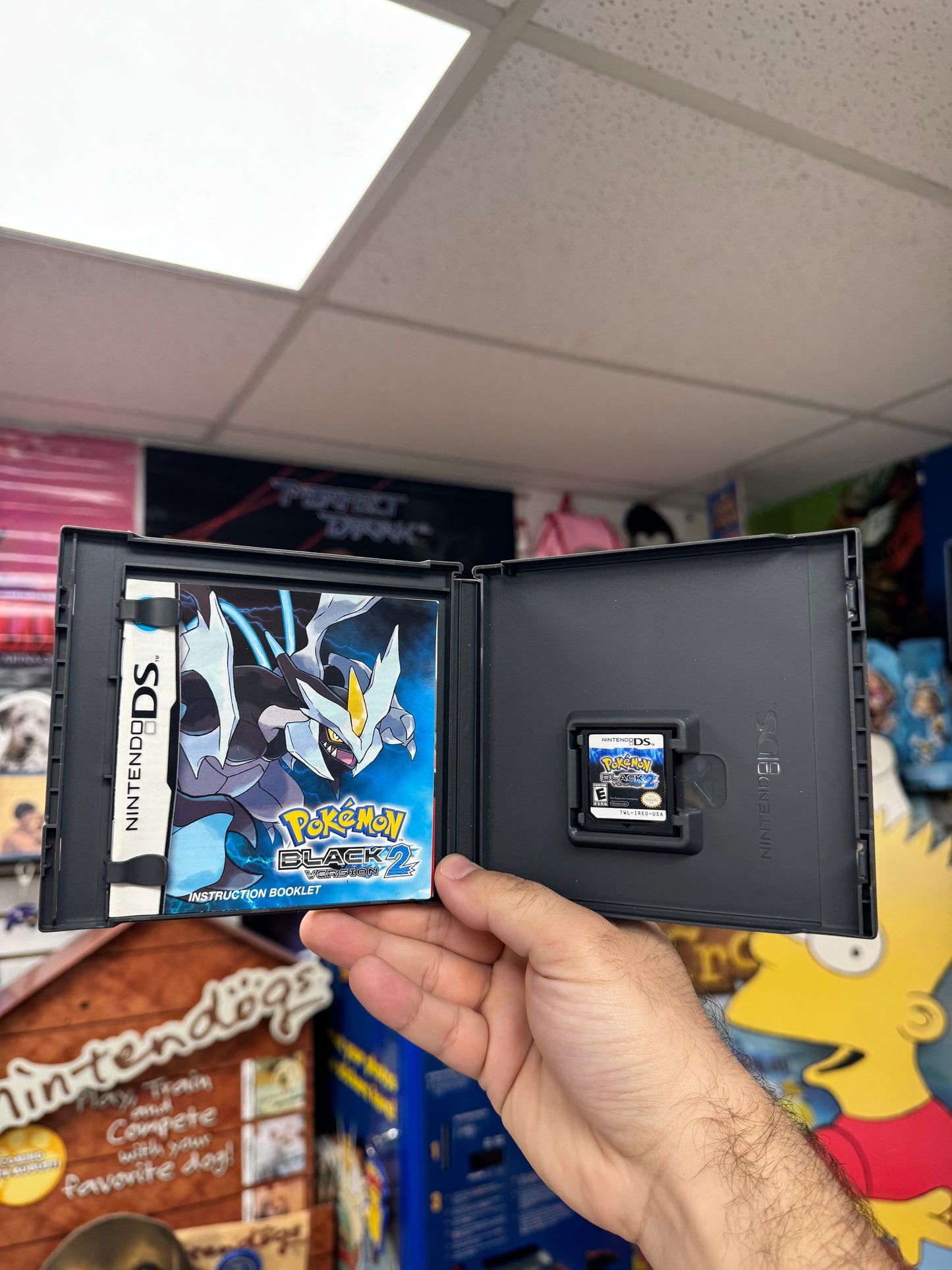 Pokemon Black 2 - DS CiB