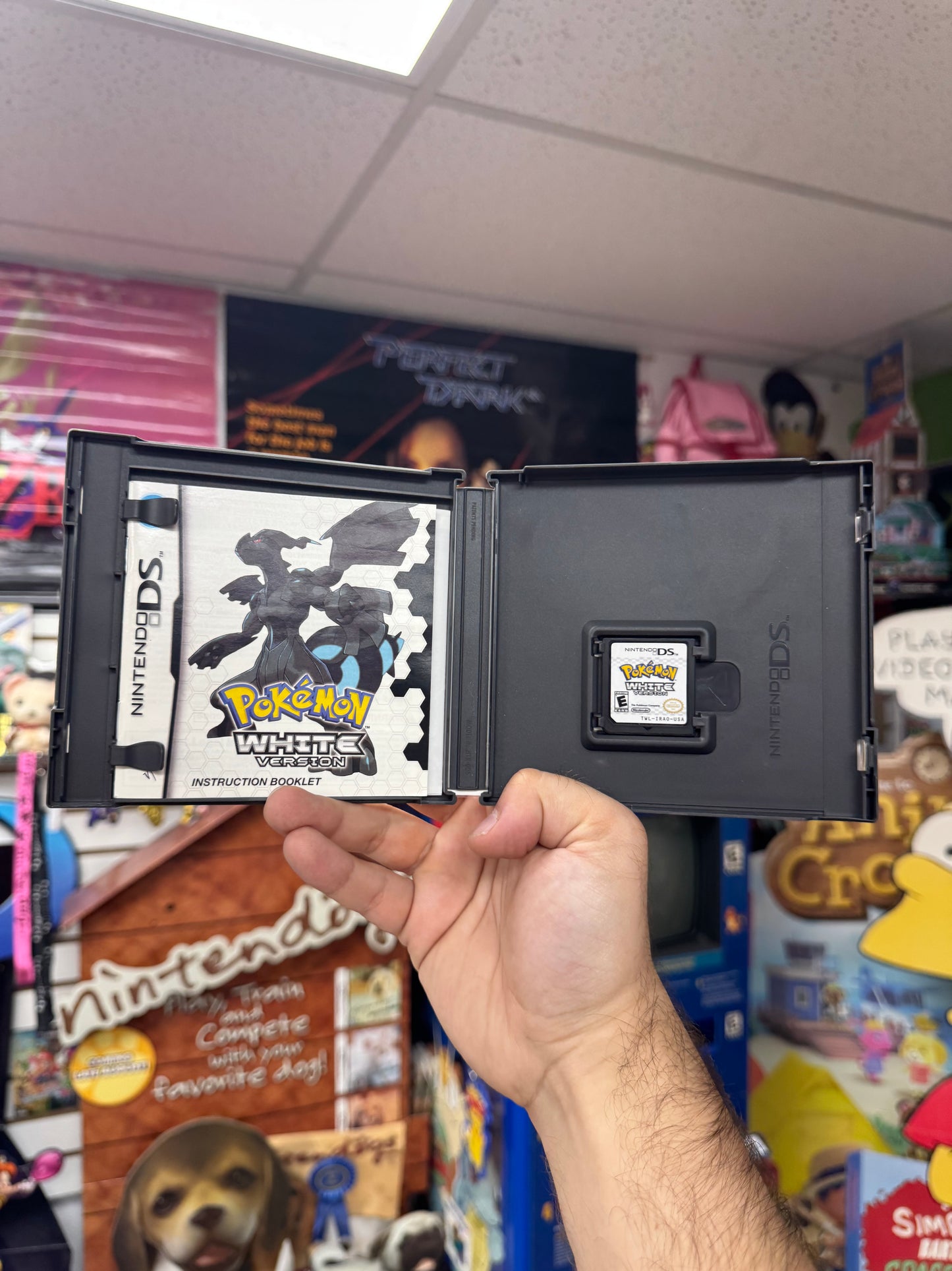 Pokemon White - DS CiB