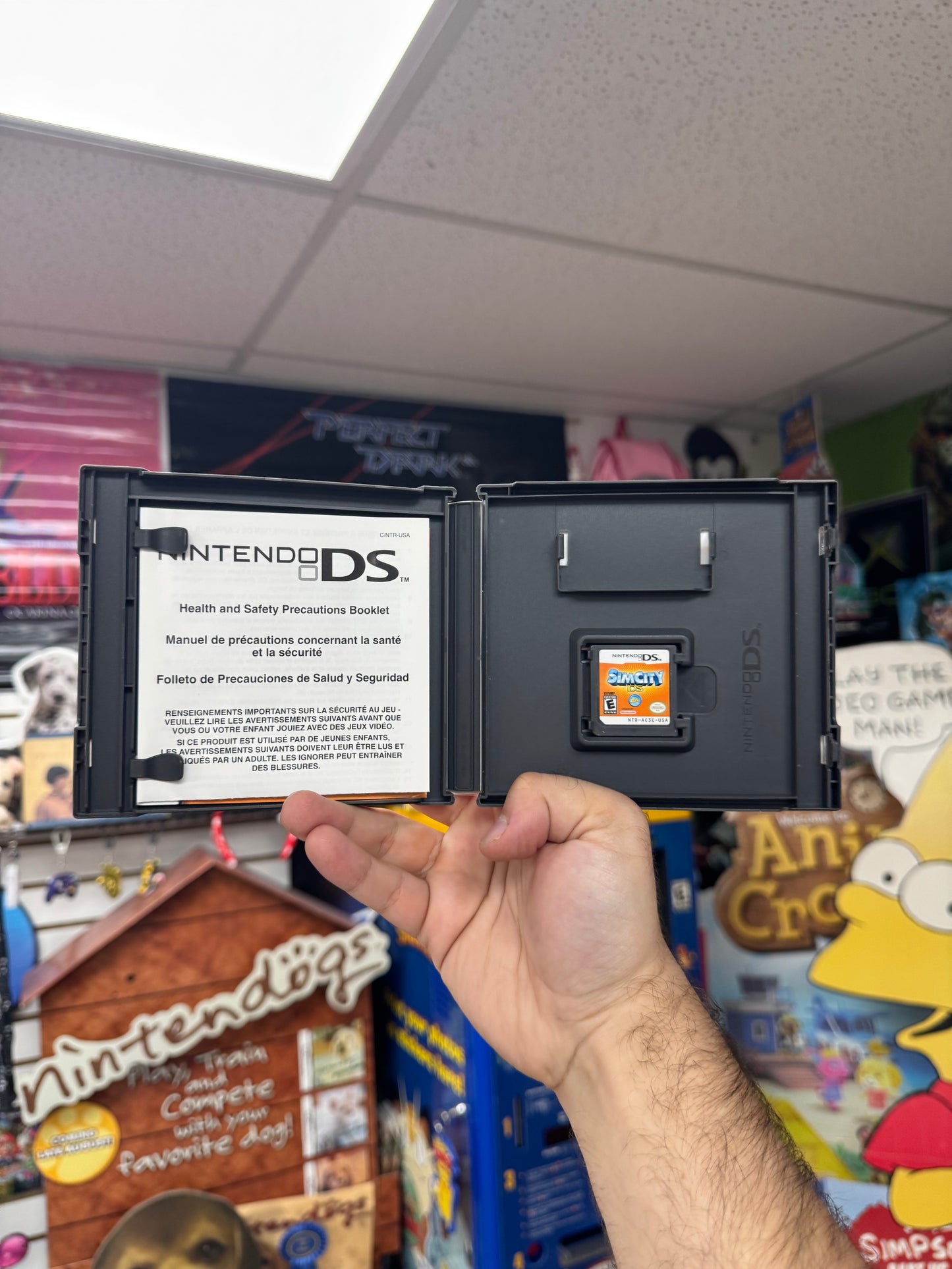 SimCity - DS CiB