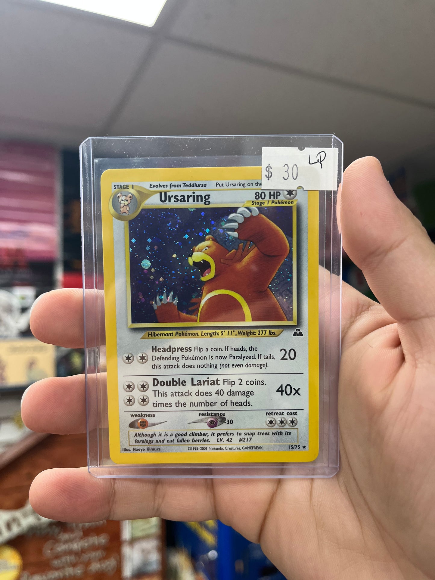 Pokemon TCG Neo Revelation - Ursaring Holo LP