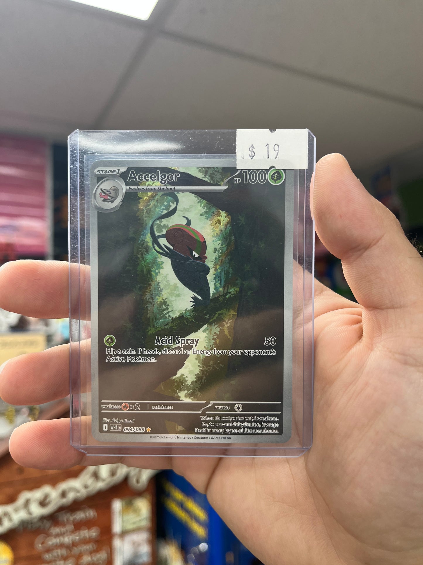 Pokemon TCG White Flare - Accelgor Illustration Rare