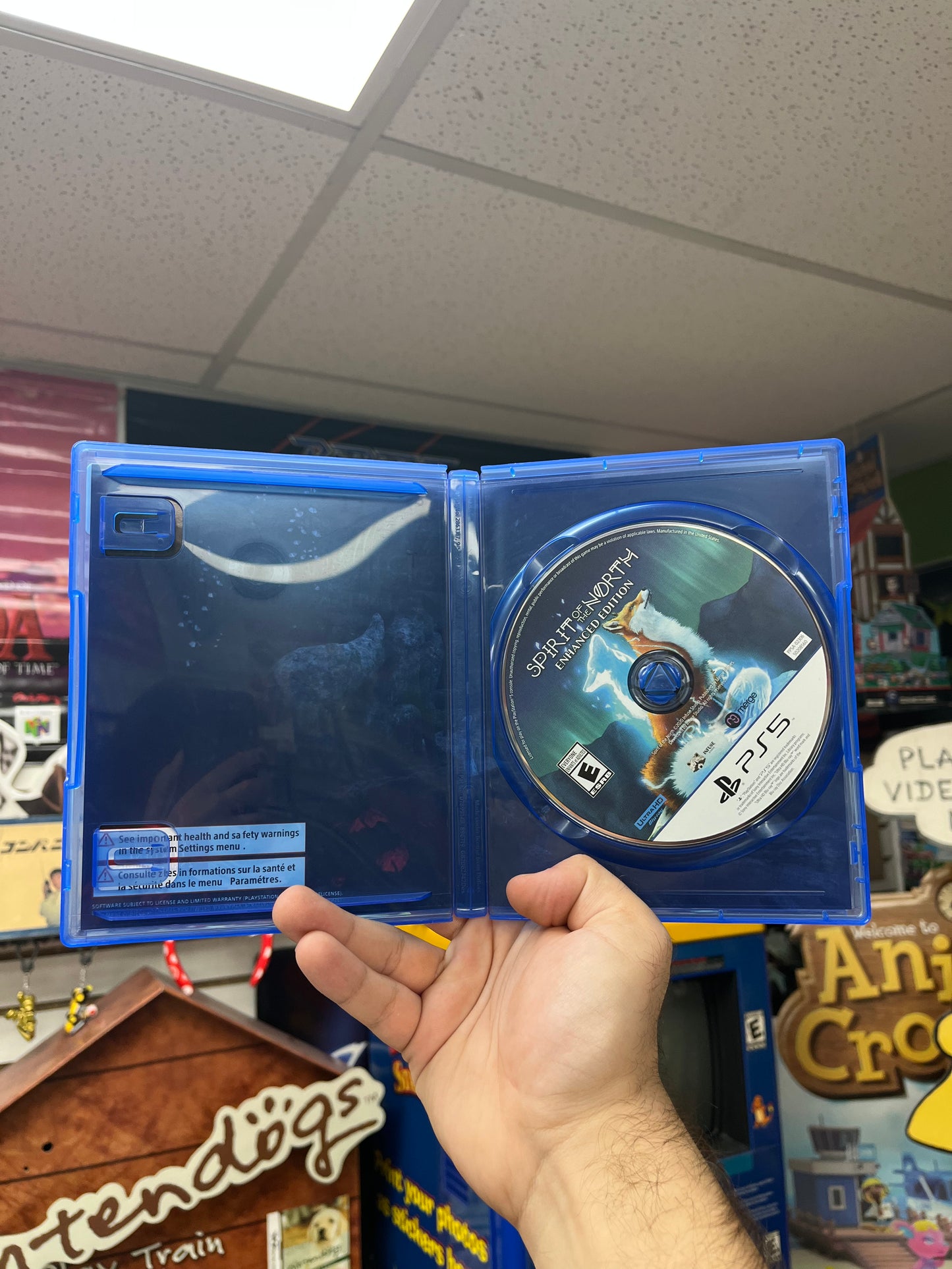 Spirit of the North Enhanced Edition - PS5 CiB