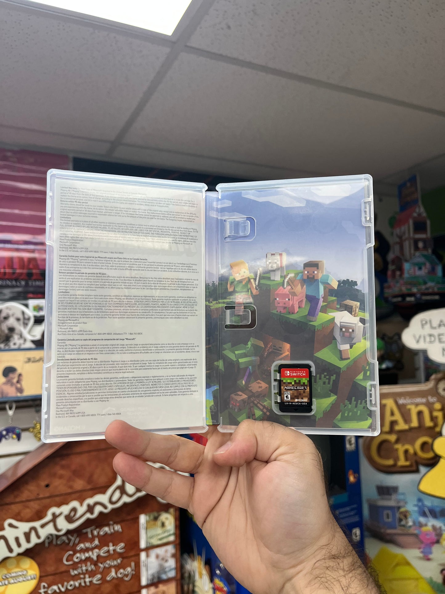 Minecraft - Switch CiB