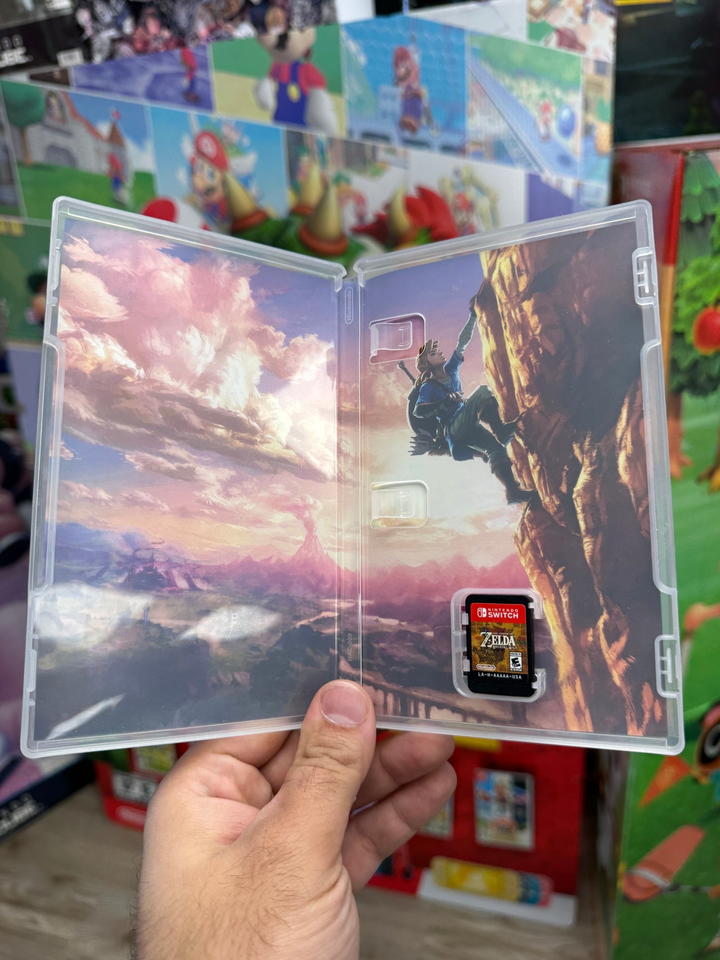 Zelda Breath of the Wild Switch Complete