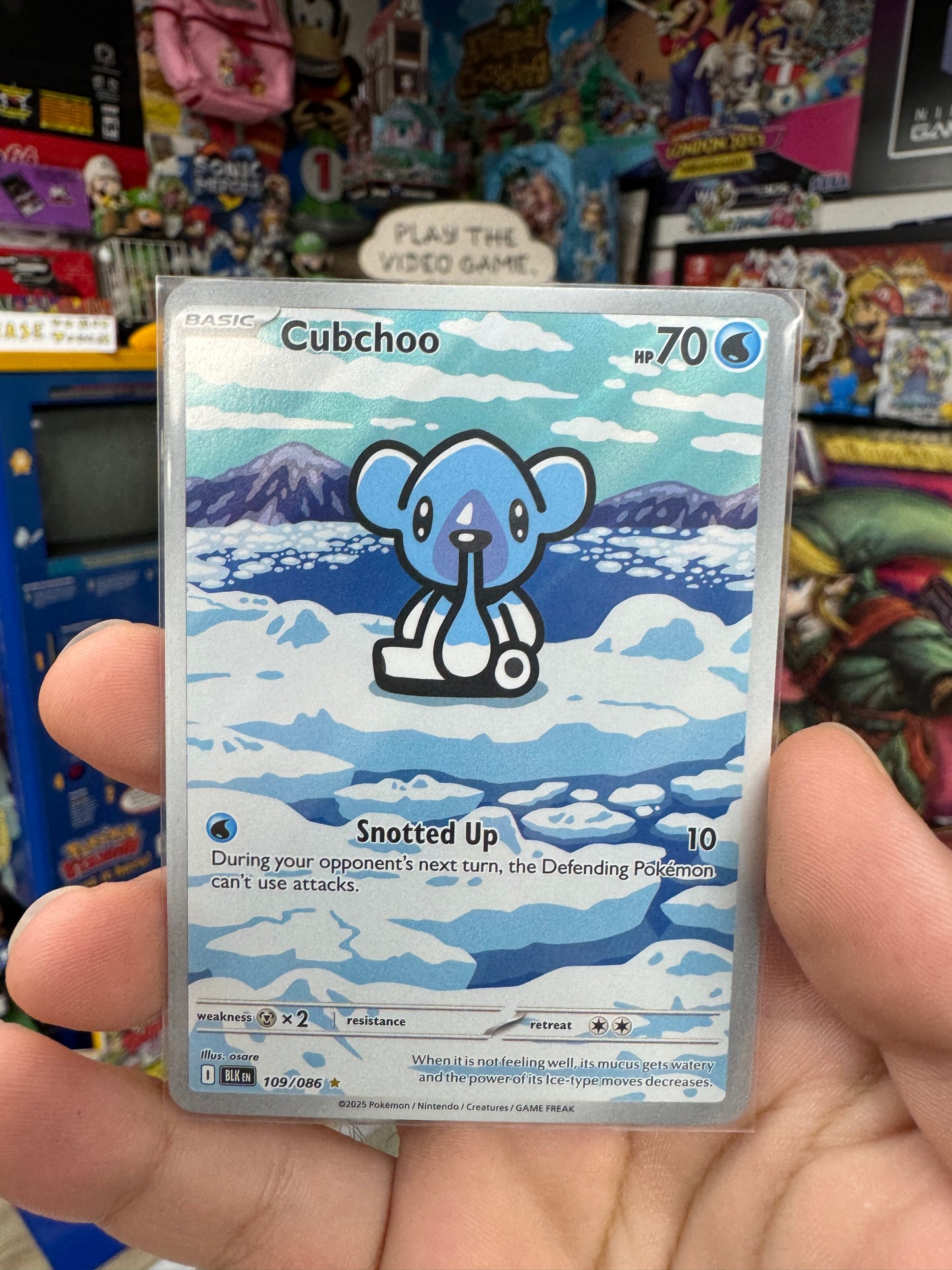 Cubchoo