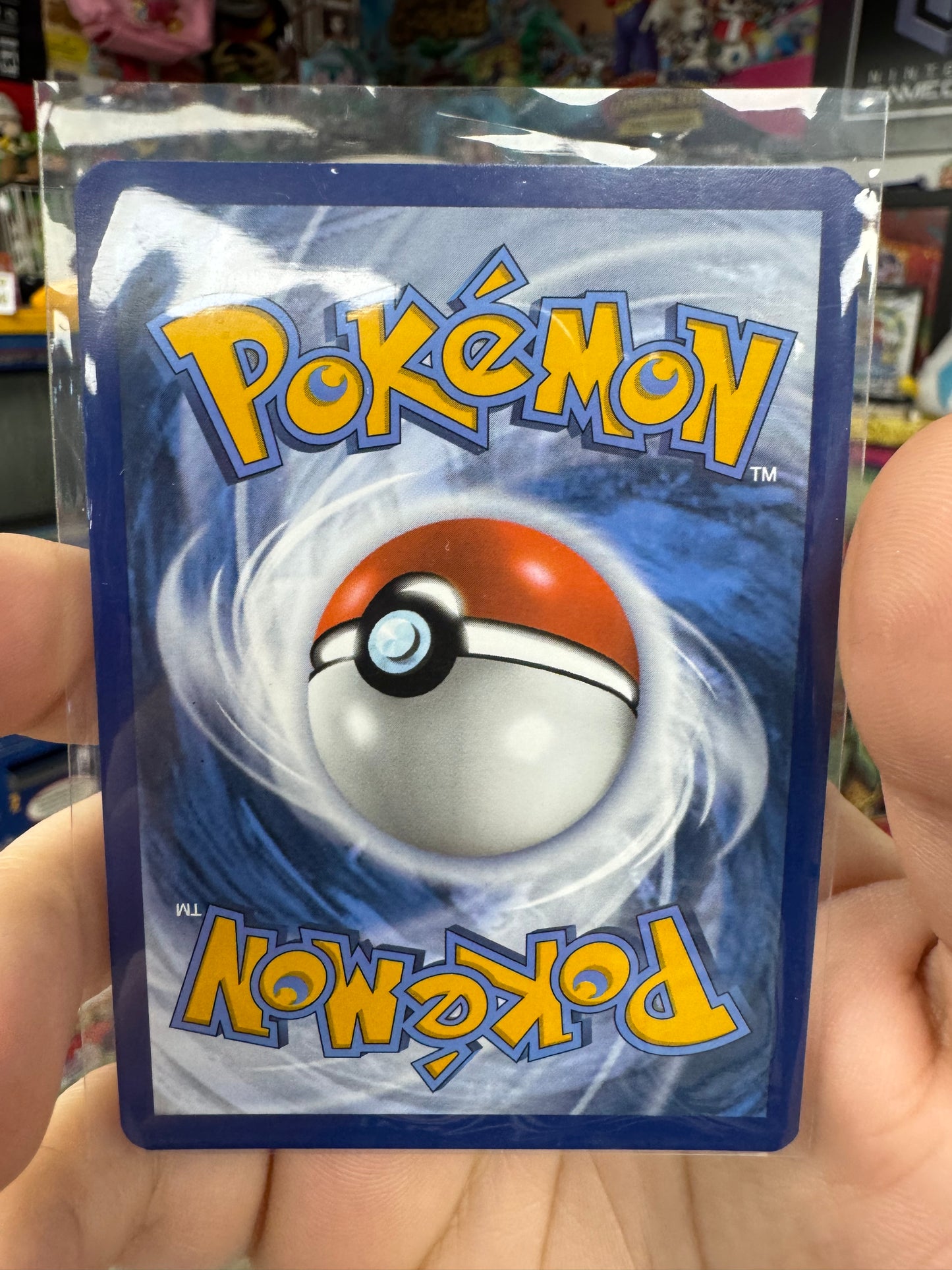 N's Zorua