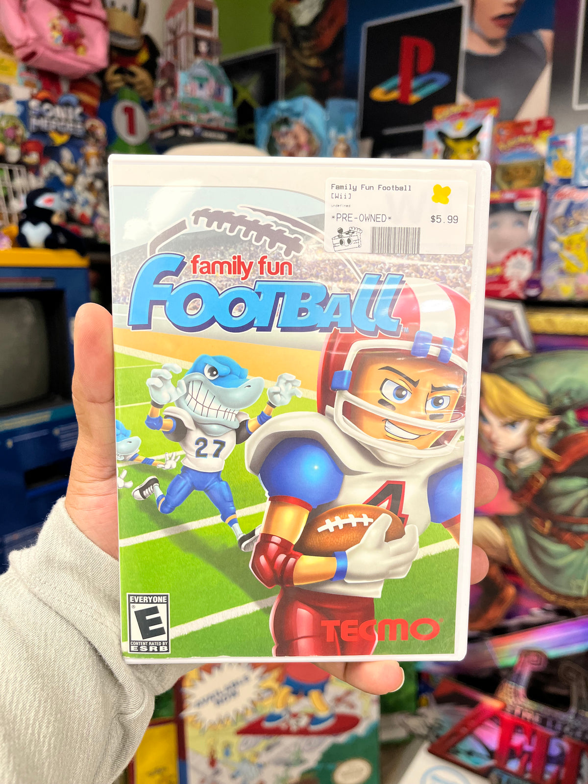 Family Fun Football - Wii CiB