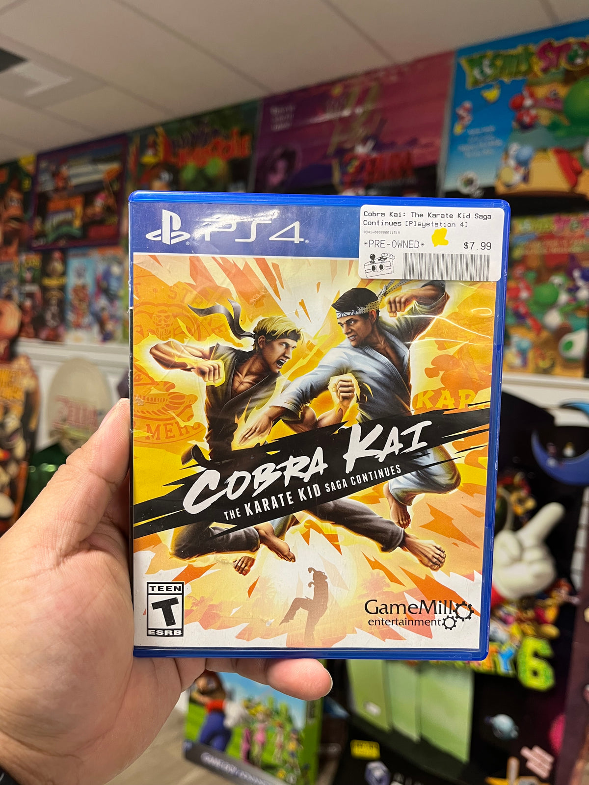 Cobra Kai: The Karate Kid Saga Continues - PS4 Boxed