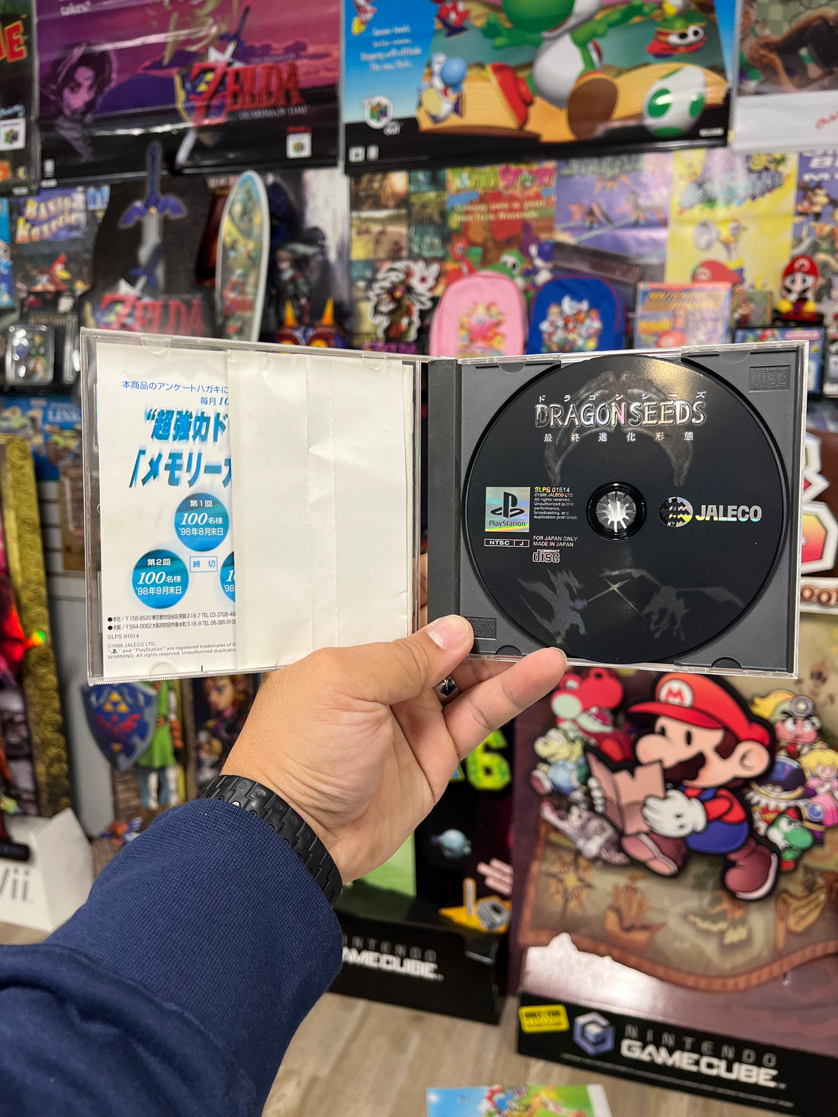 Dragon Seeds - JP PS1 CIB