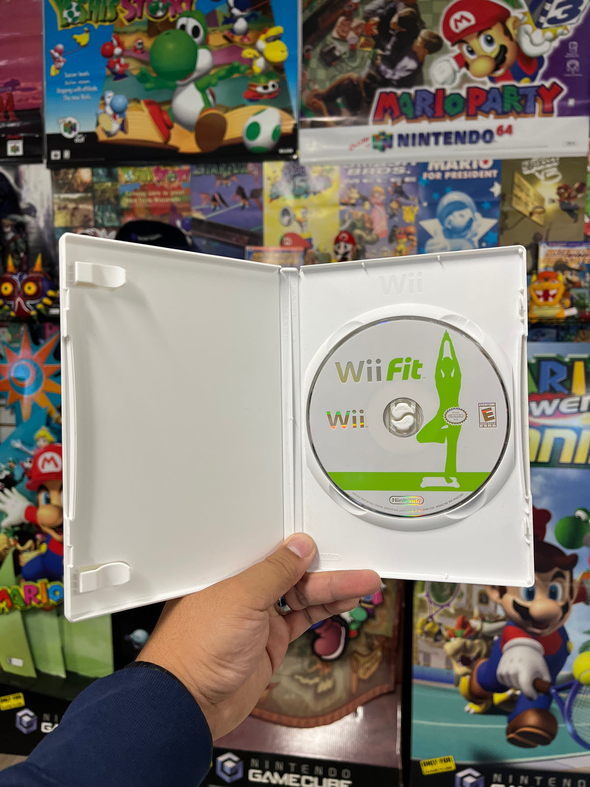 Wii Fit [Game Only] - Wii CIB