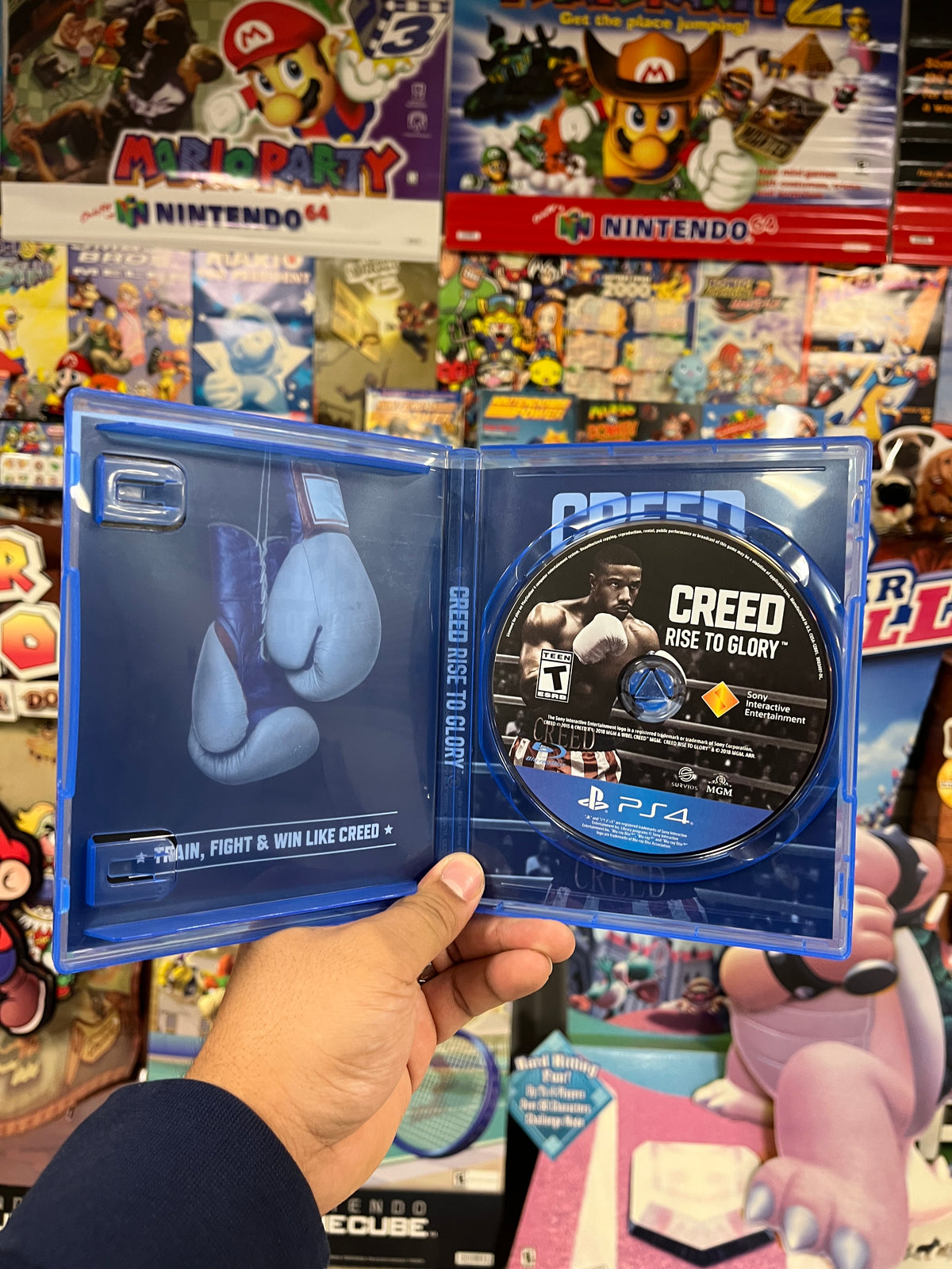 Creed: Rise to Glory - PS4