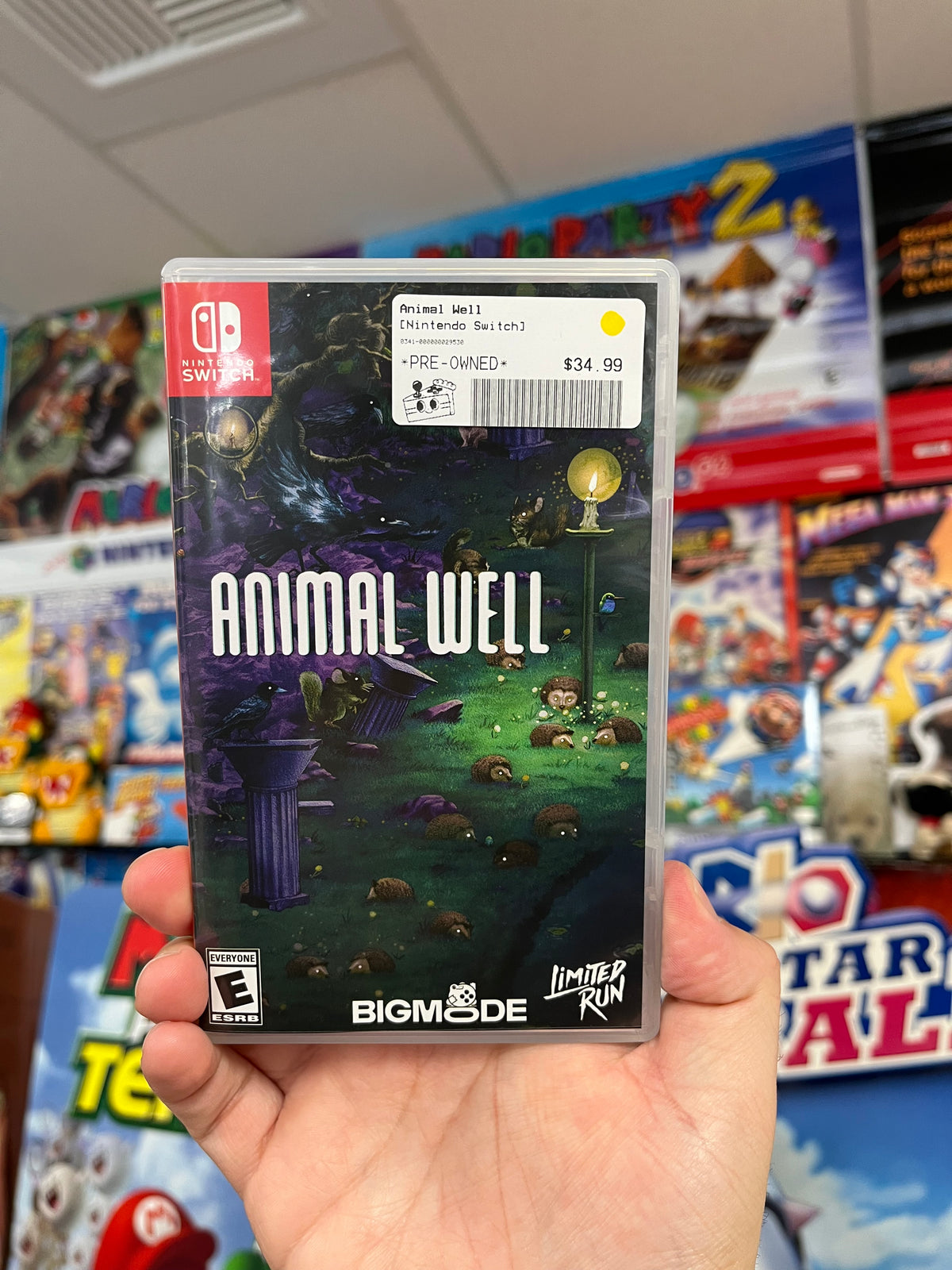Animal Well - Nintendo Switch CIB