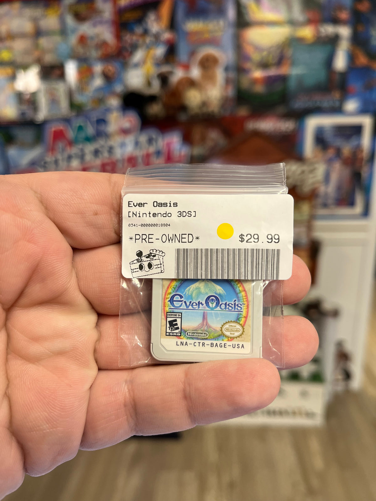 Ever Oasis - 3DS Loose